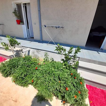Rey Garden Villa Вльора Екстер'єр фото