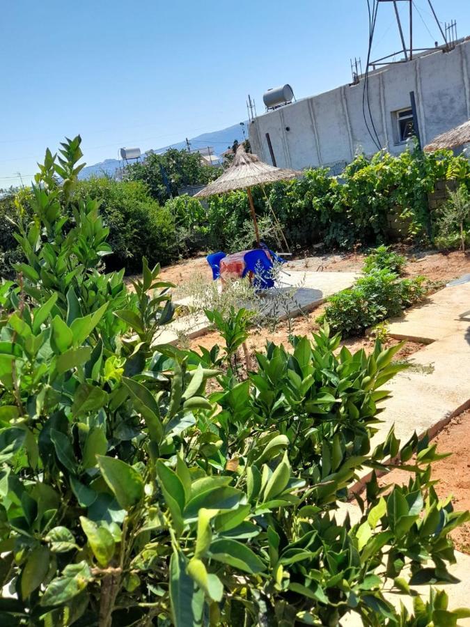 Rey Garden Villa Вльора Екстер'єр фото