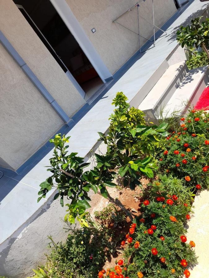Rey Garden Villa Вльора Екстер'єр фото