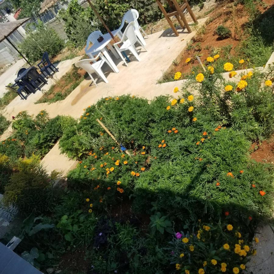 Rey Garden Villa Вльора Екстер'єр фото